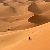 From Hate to Love - Story of Adiy ibn Hatim