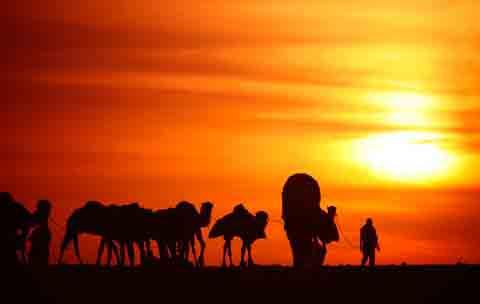 The Islamic experience: Through Ibn Battuta's eyes