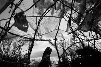 End Abuse and Neglect of Somali Refugees