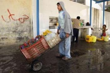Environment Emerges as a Major Casualty in Gaza